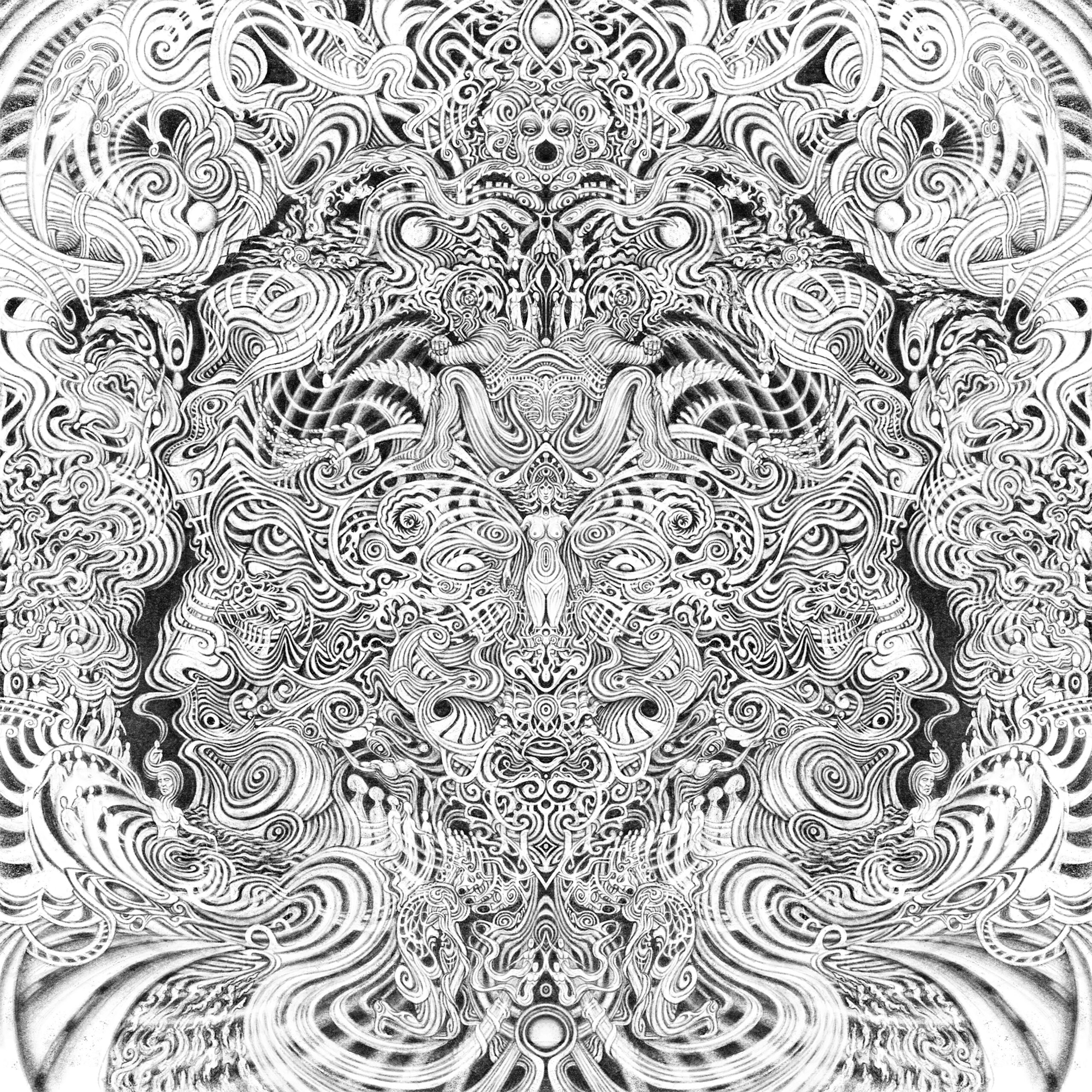 unnamed (42)